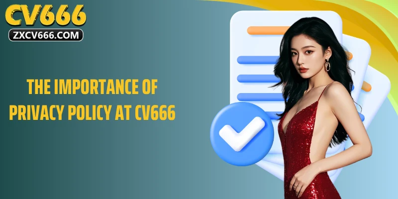 The importance of privacy policy at CV666